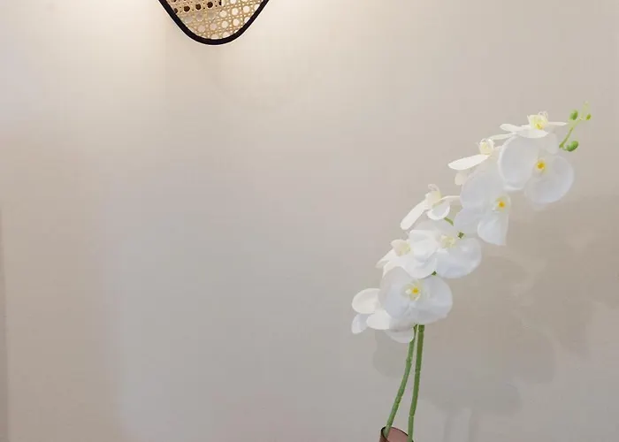 Daydin - Day קסטוריה